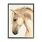 Stupell Industries Country Horse Farm Animal Portrait Black Framed Giclee Art